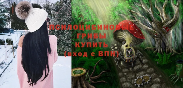 ГАЛЛЮЦИНОГЕННЫЕ ГРИБЫ Козловка