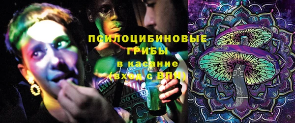 ГАЛЛЮЦИНОГЕННЫЕ ГРИБЫ Козловка