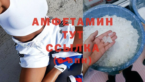 ГАЛЛЮЦИНОГЕННЫЕ ГРИБЫ Козловка