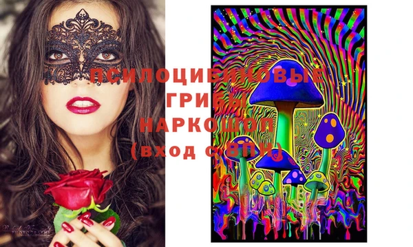 ГАЛЛЮЦИНОГЕННЫЕ ГРИБЫ Козловка