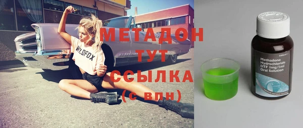 ГАЛЛЮЦИНОГЕННЫЕ ГРИБЫ Козловка