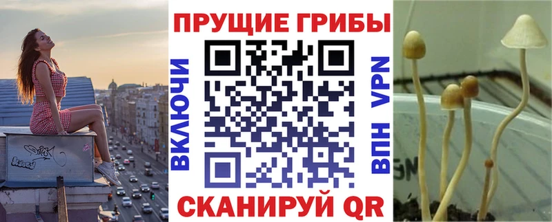 Купить закладки  Лиски  Галлюциногенные грибы Psilocybe 